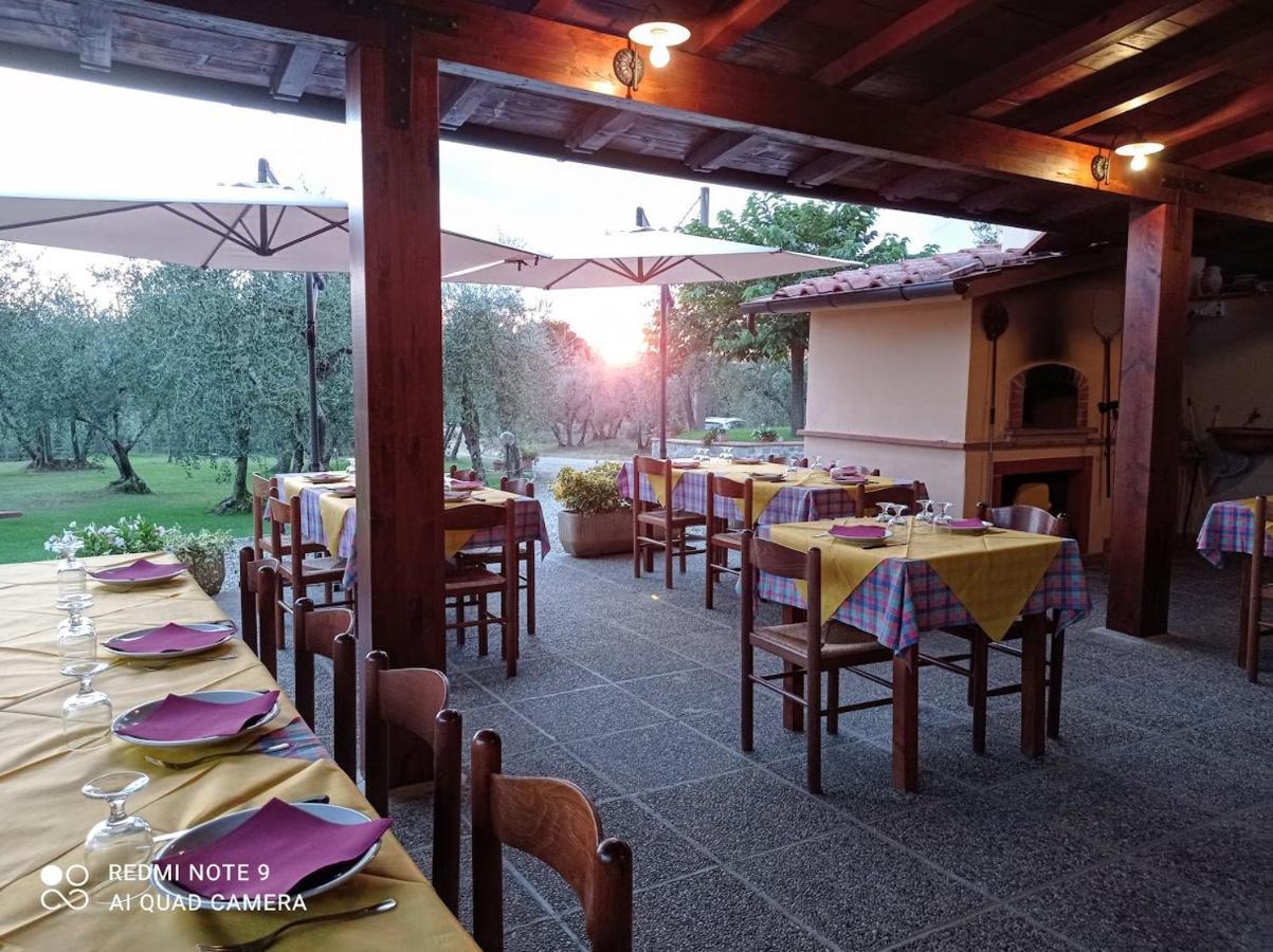 Farm stay Bellosguardo *
